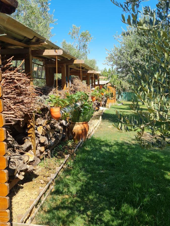 Rocky House Bed & Breakfast Ripa Teatina Exterior photo